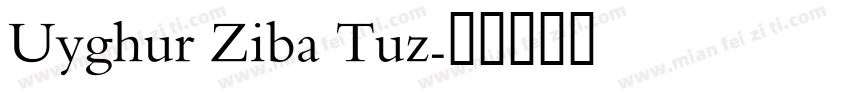 Uyghur Ziba Tuz字体转换